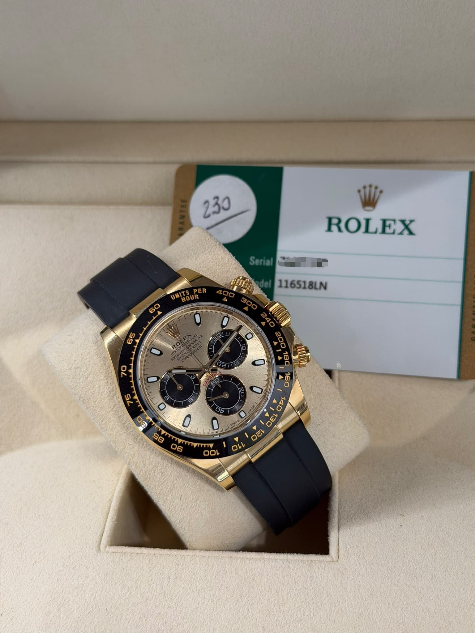 Daytona Oysterflex