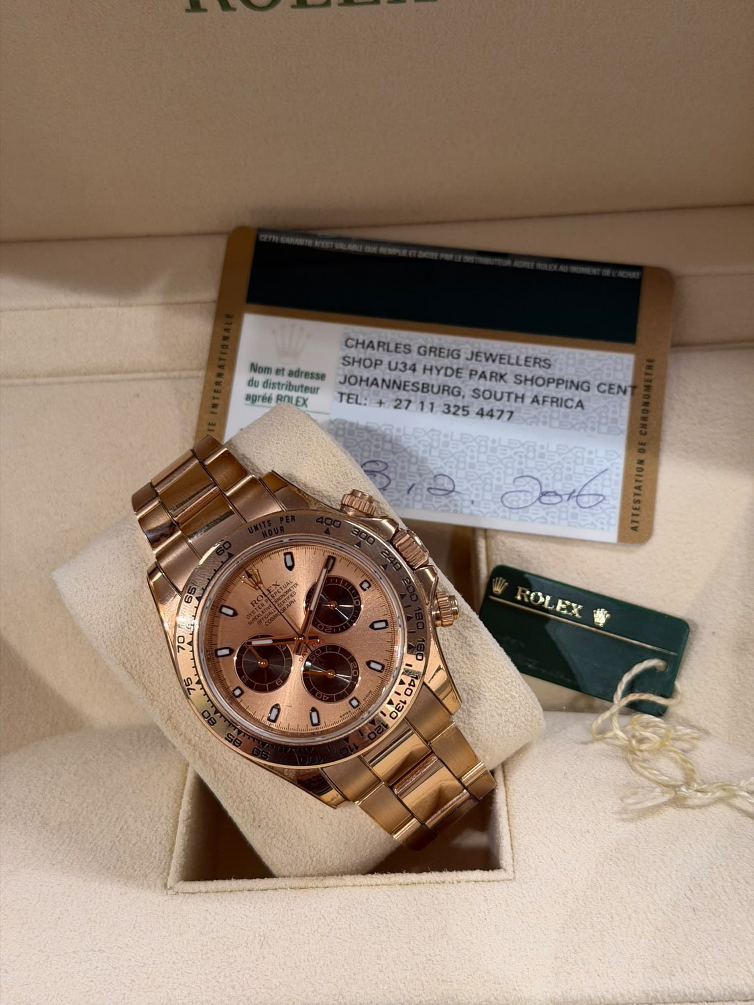 Daytona oro rosa