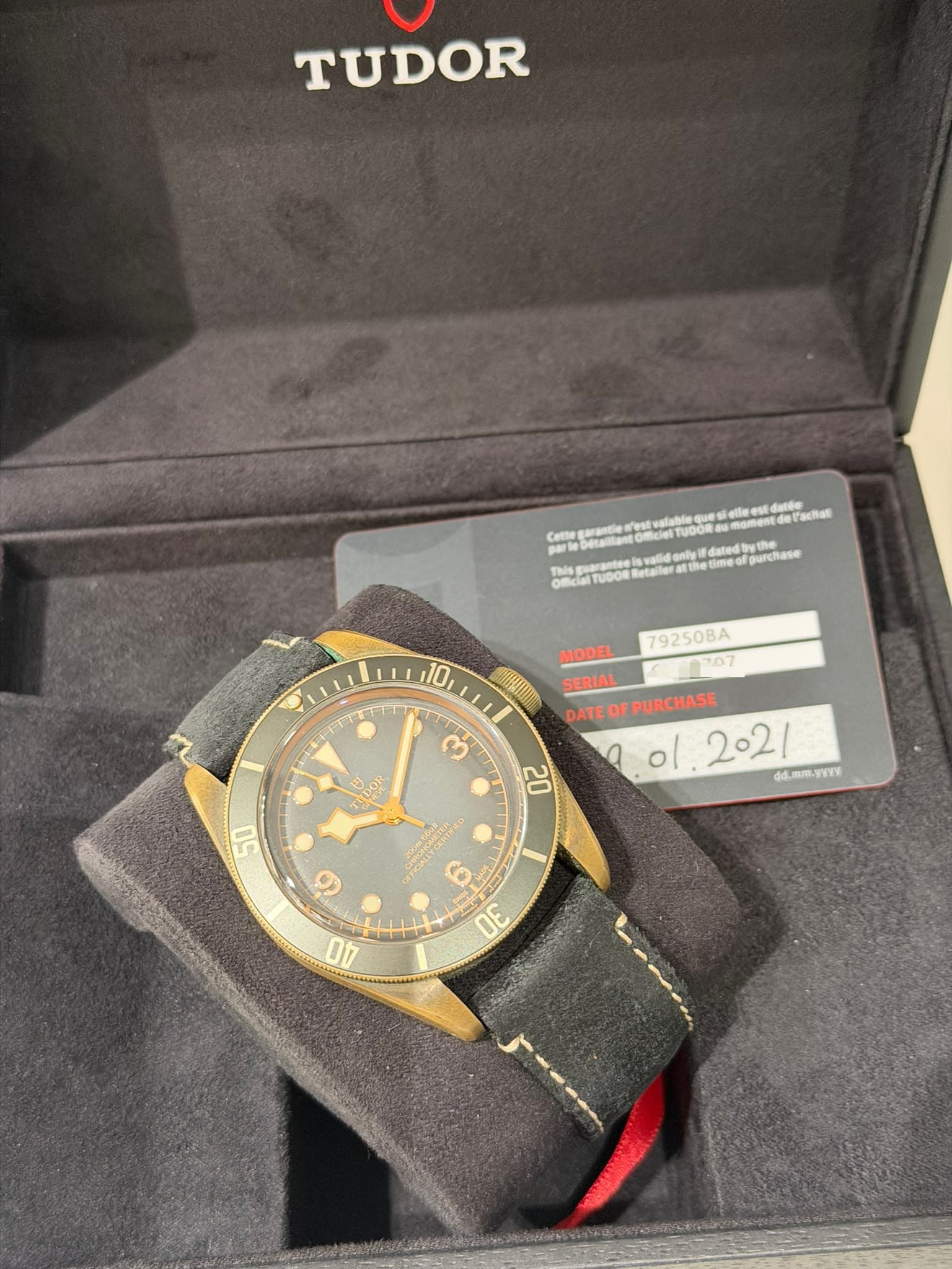 Black Bay Bronze